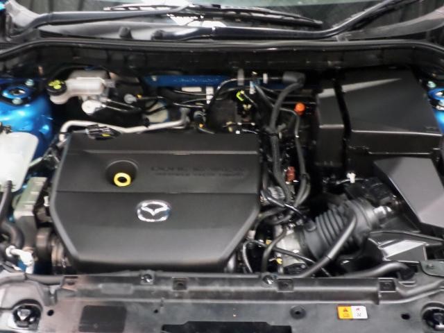 2009 MAZDA MAZDA3 MAXX